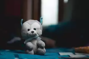 Nádivka Do Kuřete