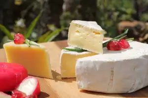 Gouda